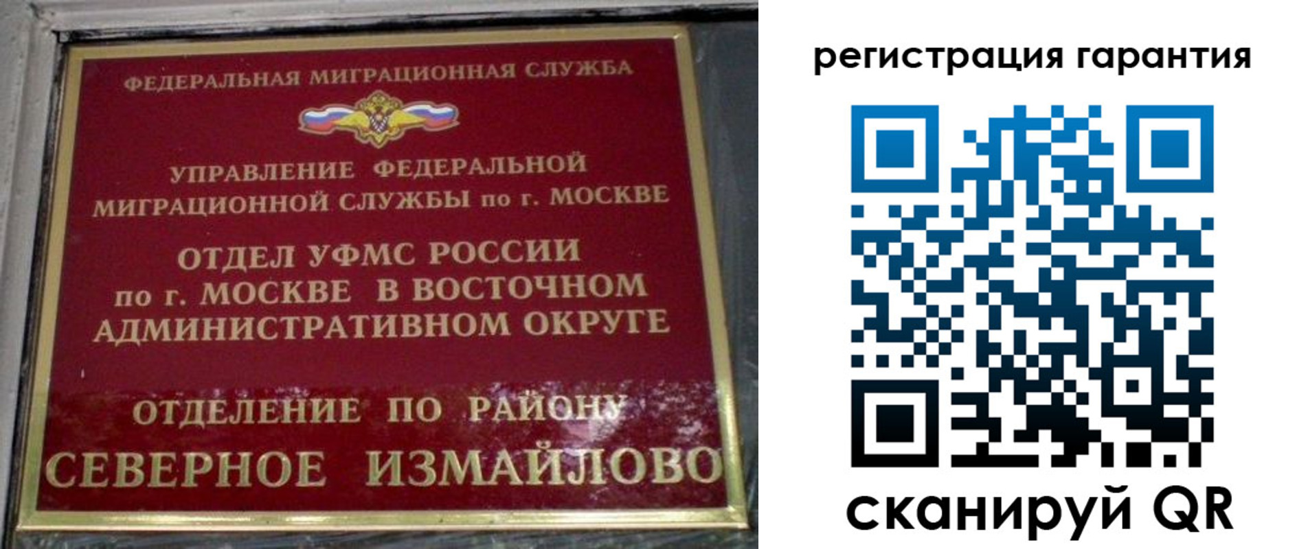 временная регистрация поиск в Звенигово